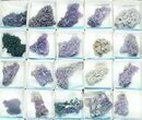 Flat: Grape Agate From Indonesia - Pieces #79149-2